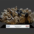 Natural Damburite Mineral Crystal Specimen Showcasing Texture On Labeled Display Base