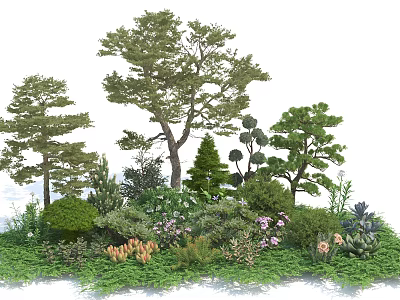 Diverse Garden Flowers And Plants With Shrubs Trees And Lush Greenery 3d model
