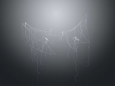 Intricate Spider Web Structure With Delicate Silk Threads And Shadowy Backdrop 3d model