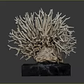 Aquatic Animal Branching Coral Detailed Structure with Natural Texture on Black Base
