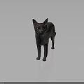 Gray Short Haired Cat With Blue Eyes Standing On Dark Background 3d model
