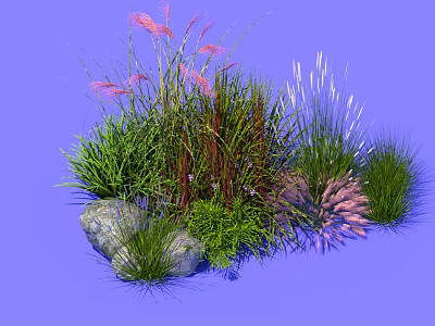 Colorful Garden Grasses With Pink Green Red Blades And Decorative Stones 3d model