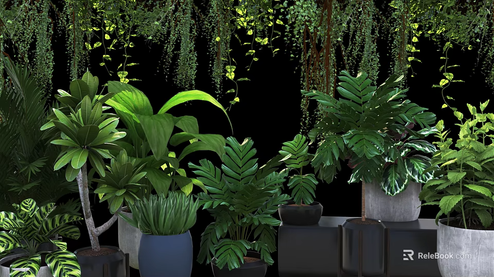 Various Bonsai Potted Plants With Lush Green Leaves And Decorative Planters For Indoor Decoration 3d model 