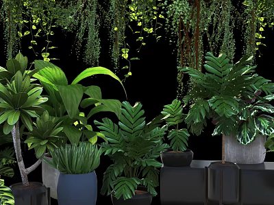Various Bonsai Potted Plants With Lush Green Leaves And Decorative Planters For Indoor Decoration 3d model