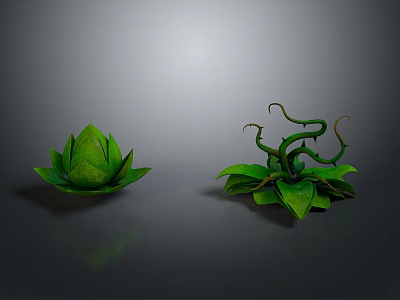 Decorative Green Plant Models With Lotus Shaped Leaves And Curly Vines 3d model
