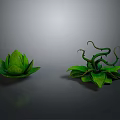 Decorative Green Plant Models With Lotus Shaped Leaves And Curly Vines