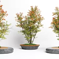 Landscape tree pool 3d model