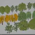 Collection of Various Arbor Trees with Green Yellow Foliage and Different Shapes