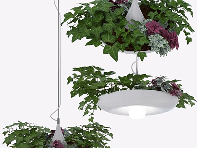 Hanging Basket Combination Plant Green Plant Hanging Basket Flowers and Plants Potted Landscape 3d model