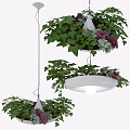 Hanging Basket Combination Plant Green Plant Hanging Basket Flowers and Plants Potted Landscape 3d model