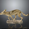 Realistic Taxidermy Jackal Figure In Walking Pose On Natural Stone Base