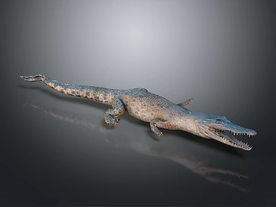 Realistic Crocodile 3D Model Lying On Grey Background With Reflection 3d model