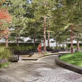 Residential Landscape Featuring People Enjoying Outdoor Red Green Trees Lawn Wooden Pathway And Lounge Chairs