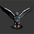 Pigeon Spreading Wings With Iridescent Blue Purple Green Feathers And Gray Wings On Dark Background