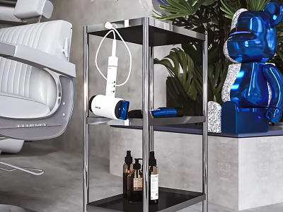 Modern Salon Interior With White Chair Metal Shelf Hair Dryer Products Blue Figurine Green Plant 3d model