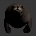 Realistic Brown Seal With Smooth Fur Lying On Dark Reflective Surface 3d model