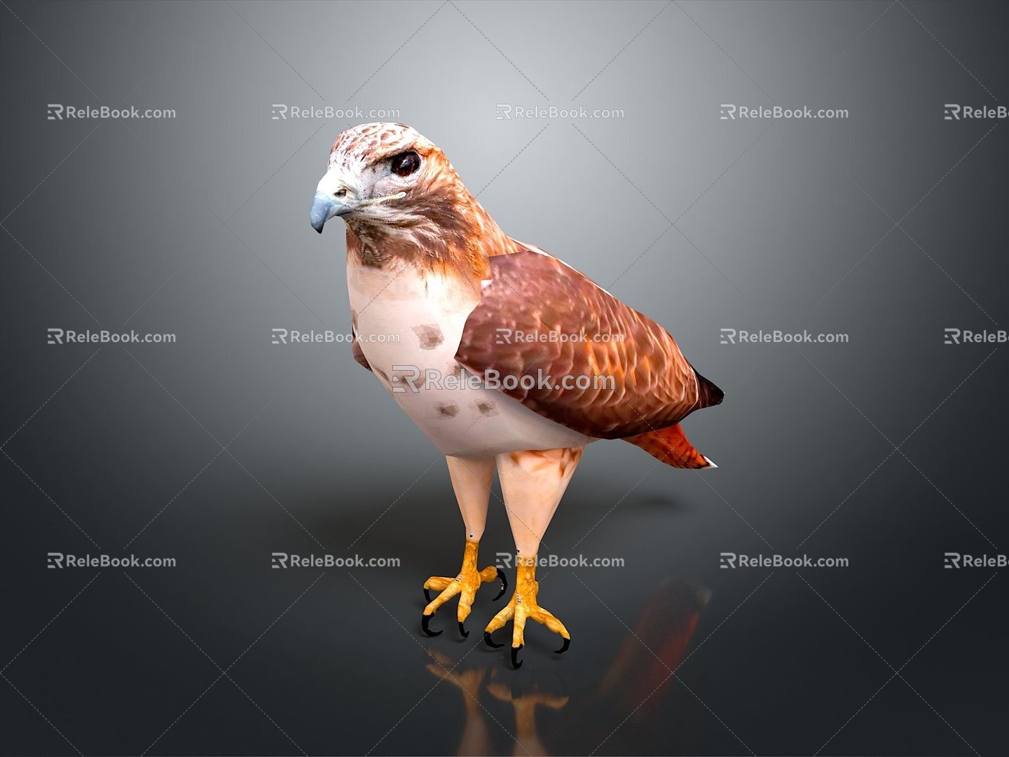 Eagle Large Eagle Owl Raptor Falcon Bird Bird Bird Animal Game Animal 3d model