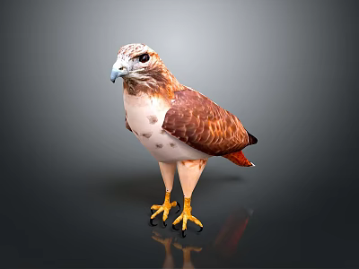 Flying Animal Hawk with Brown and White Feathers Sharp Eyes and Yellow Claws 3d model