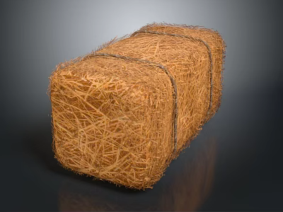 Natural Plant Straw Hay Bale Bundled With Twine For Agricultural Use 3d model