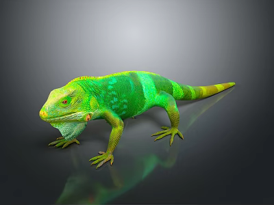 Modern Lizard Anime Lizard Cartoon Lizard Reptile 3d model