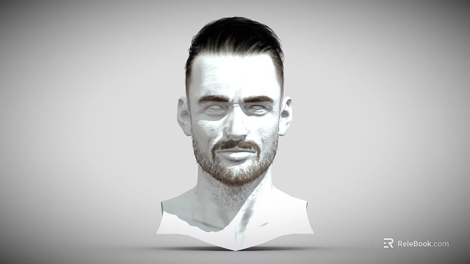 Man 3D Head Model with Short Hair Beard and Black White Half Body Portrait 3d model 