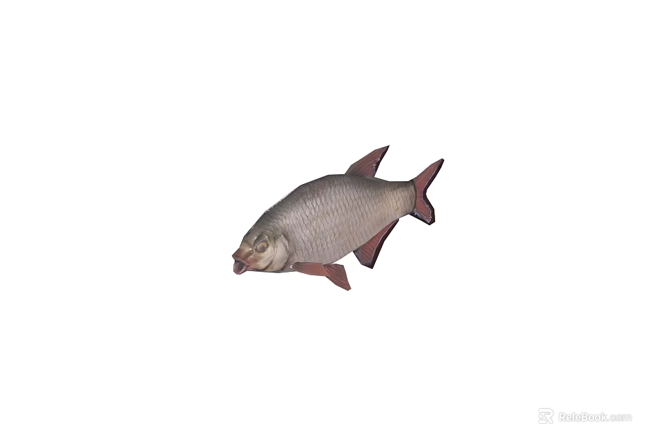 Detailed Illustration Of Silver Gray Fish With Pink Fins And Tail On White Background 3d model 