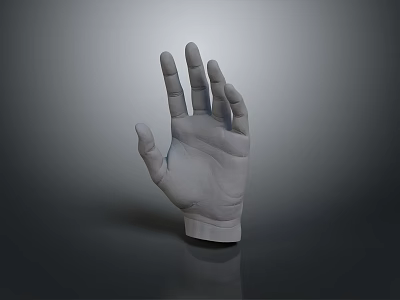 Human Hand with Open Fingers and Palm Up Displayed on Gray Background 3d model