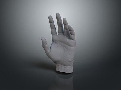 Hand Medical Teaching Aware Medical Supplies Medical Teaching Aware Medical Display 3d model