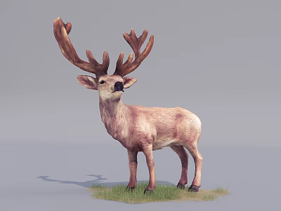 Realistic Deer Figure With Large Antlers Standing On Green Grass Patch 3d model