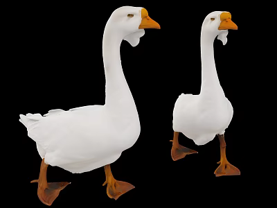 Two White Geese With Orange Beaks And Webbed Feet Against Black Background 3d model