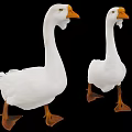 Two White Geese With Orange Beaks And Webbed Feet Against Black Background