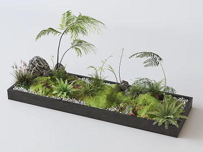 Bonsai Pot Display With Rectangular Tray Green Moss Ferns Stones And White Pebbles 3d model