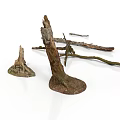 Natural Weathered Tree Stumps With Branches And Exposed Roots As Decorative Plant Elements