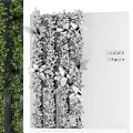 Lush Vertical Green Plant Wall with Mixed Foliage Against Concrete Background