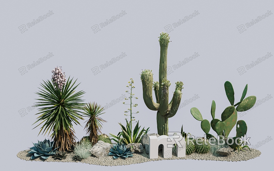 Advanced small fresh courtyard indoor greening wall sand plants cactus desert plants landscaping lazy people must model