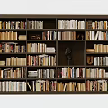 Dark Colored Bookcase With Multiple Shelves Filled With Books And Decorative Bust Sculpture