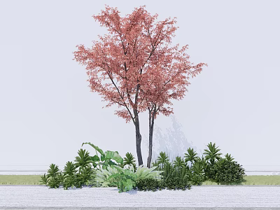 Tall Deciduous Tree with Red Leaves and Green Shrubs in Outdoor Garden 3d model