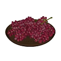 Plump Purple Red Grapes Served in Wooden Plates on White Background