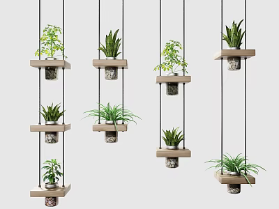 Multiple Hanging Potted Green Plants With Wooden Trays Suspended By Strings 3d model