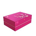 Elegant Decorative Ornament Set In Pink Open Box With Red Small Packages 3d model