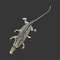 Lifelike Crocodile Figure With Detailed Scaly Skin On Dark Reflective Surface