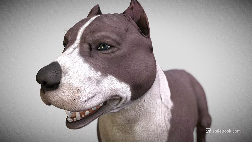 Realistic Brown and White Dog Game Movie Character 3D Model with Alert Expression 3d model 