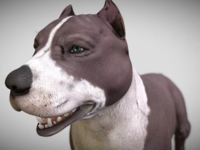 Realistic Brown and White Dog Game Movie Character 3D Model with Alert Expression 3d model