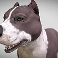 Realistic Brown and White Dog Game Movie Character 3D Model with Alert Expression
