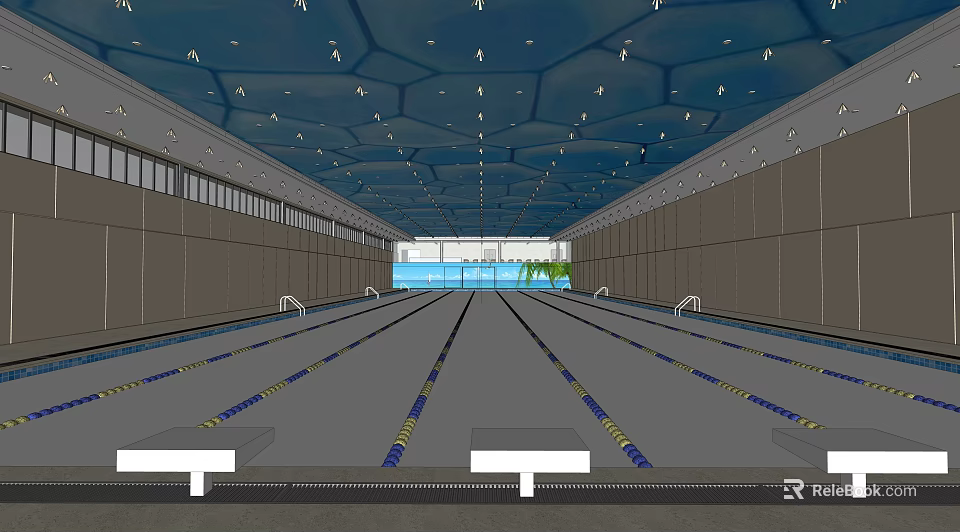Indoor Swimming Pool Facility With Lane Lines Ceiling Lighting And Modern Design 3d model 