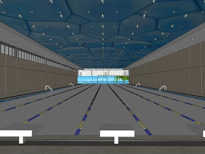 Indoor Swimming Pool Facility With Lane Lines Ceiling Lighting And Modern Design 3d model
