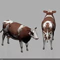 Two Brown And White Cows Standing In Front And Back Views On Smooth Light Floor With White Background