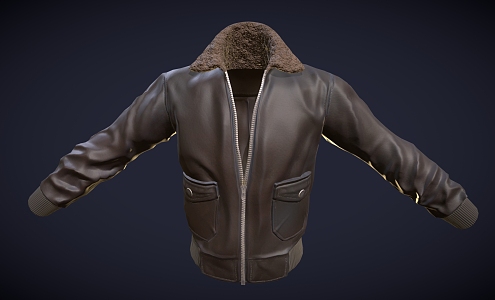 Flying Jacket Clothes Leather Jacket Clip Overcome Coat Top Coat Thick Clothes 3d model