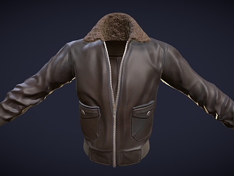 Flying Jacket Clothes Leather Jacket Clip Overcome Coat Top Coat Thick Clothes 3d model