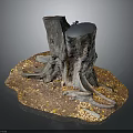 Natural Wooden Tree Stumps Decorative Piece With Roots Stones And Fallen Leaves